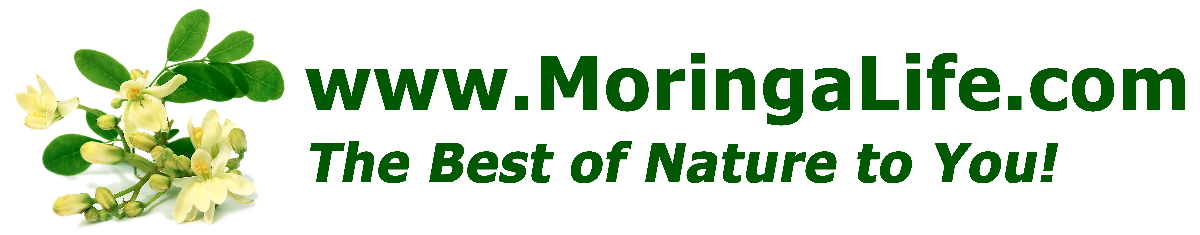 Moringa Life Custom banner